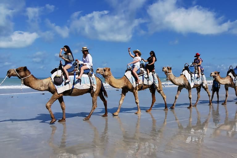 People riding camels on a beach, capturing photos with smartphones under a clear blue sky.