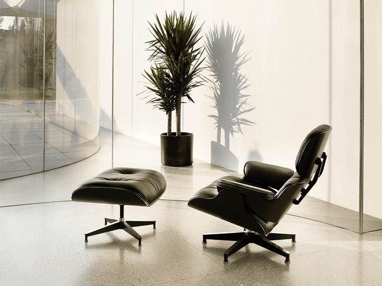 Eames Lounge Chair and Ottoman in black leather beside potted plants in a modern, sunlit room.