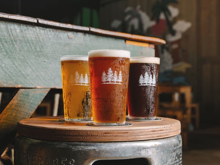 Three pints of beer in different shades sit on a wooden barrel, each with a frothy head and tree logo.