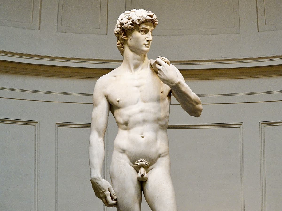 Michelangelo's David statue in a museum setting, showcasing detailed marble craftsmanship.