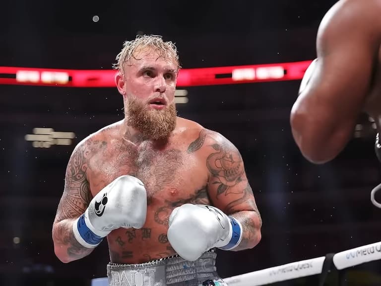 jake paul fighting ufc