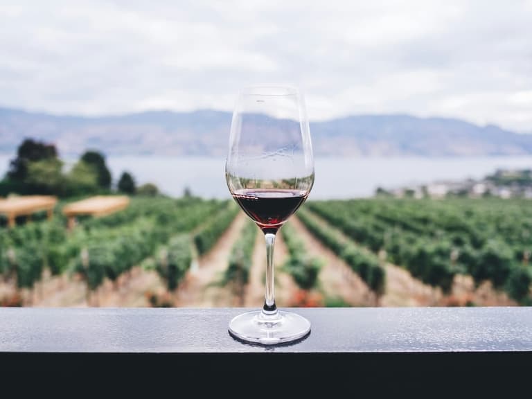 Wine blouge unsplash kym ellis