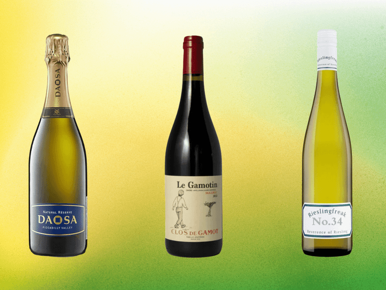 Cheap wines under 100