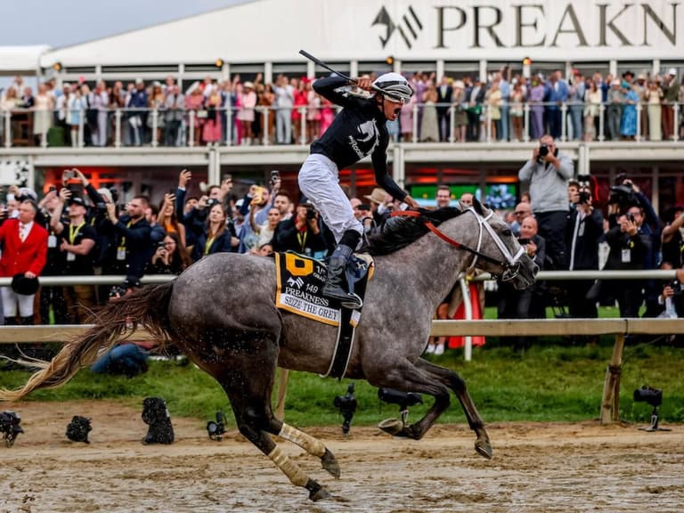 A jockey in MyRacehorse silks rises in the irons as the grey colt Seize the Grey crosses the line in front of the Preakness 149 grandstand.